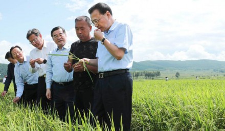 李克强在稻田里对农民说：大米里有大学问，种大米也能种出“高大上”